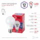 Лампа светодиодная Эра  E27 12Вт 6500K LED A60-12W-865-E27 R. 