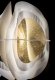 Подвесной светильник Fiordlys FRDSM00GLD01T00ROUEU. 