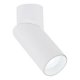 Потолочный cветильник Nowodvorski India White 7858. 