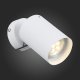 Настенно-потолочный светильник ST Luce Fanale SL597.501.01. 